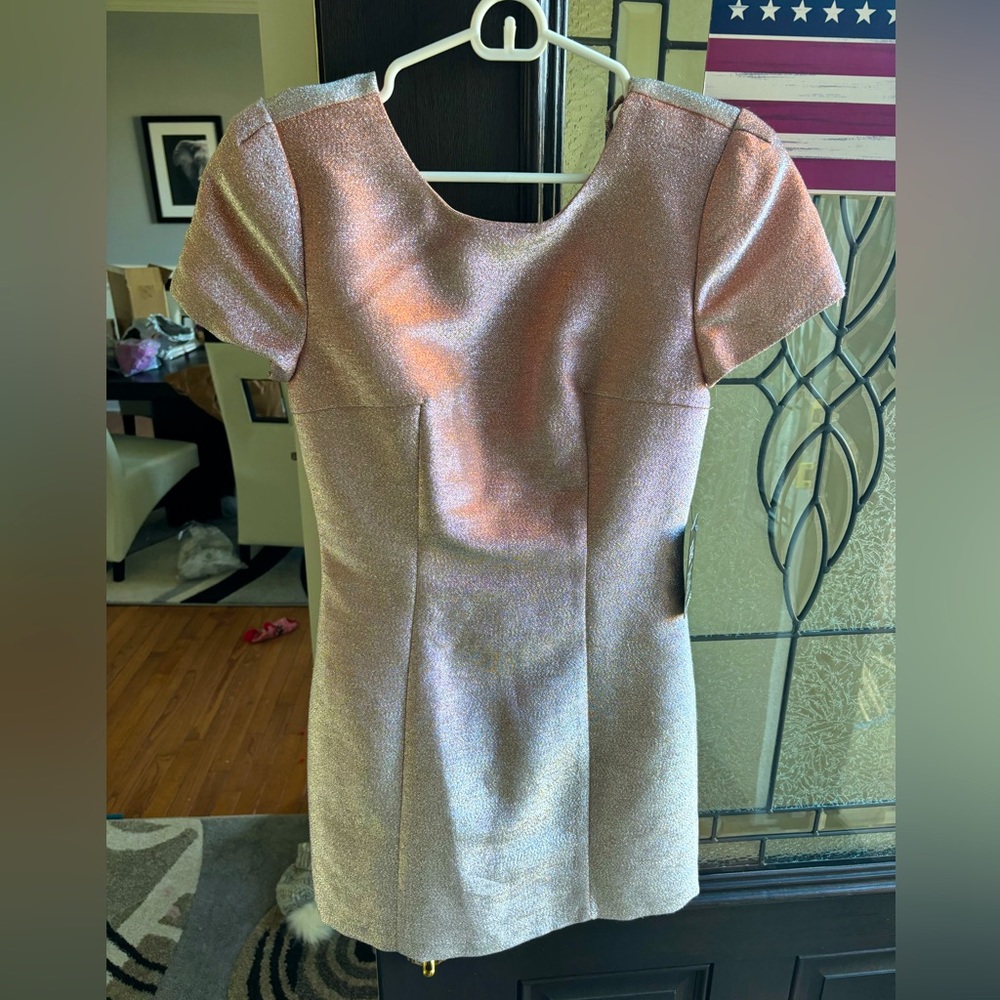 Tags on Express size 2 light pink mini dress